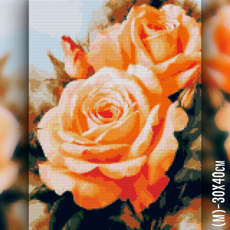 Алмазная вышивка Оранжевые Розы