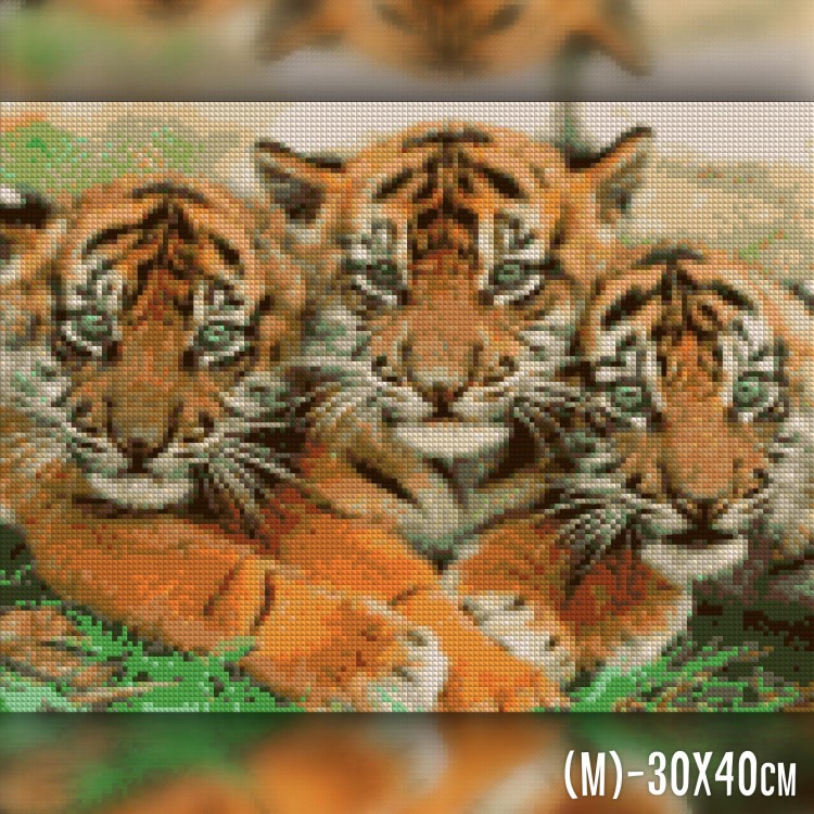 Алмазная вышивка Маленькие тигры